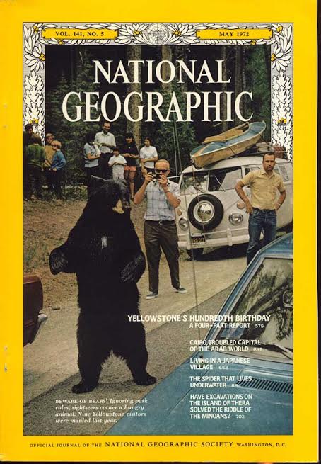 Revista