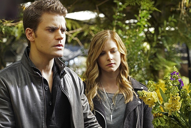 Imagem 1 TVD